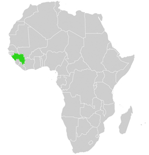 Guinea Lage in Afrika